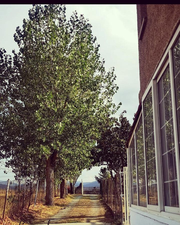 Agradable Casa Con Jardin: Casasola Villa San Cristóbal de Segovia Kültér fotó