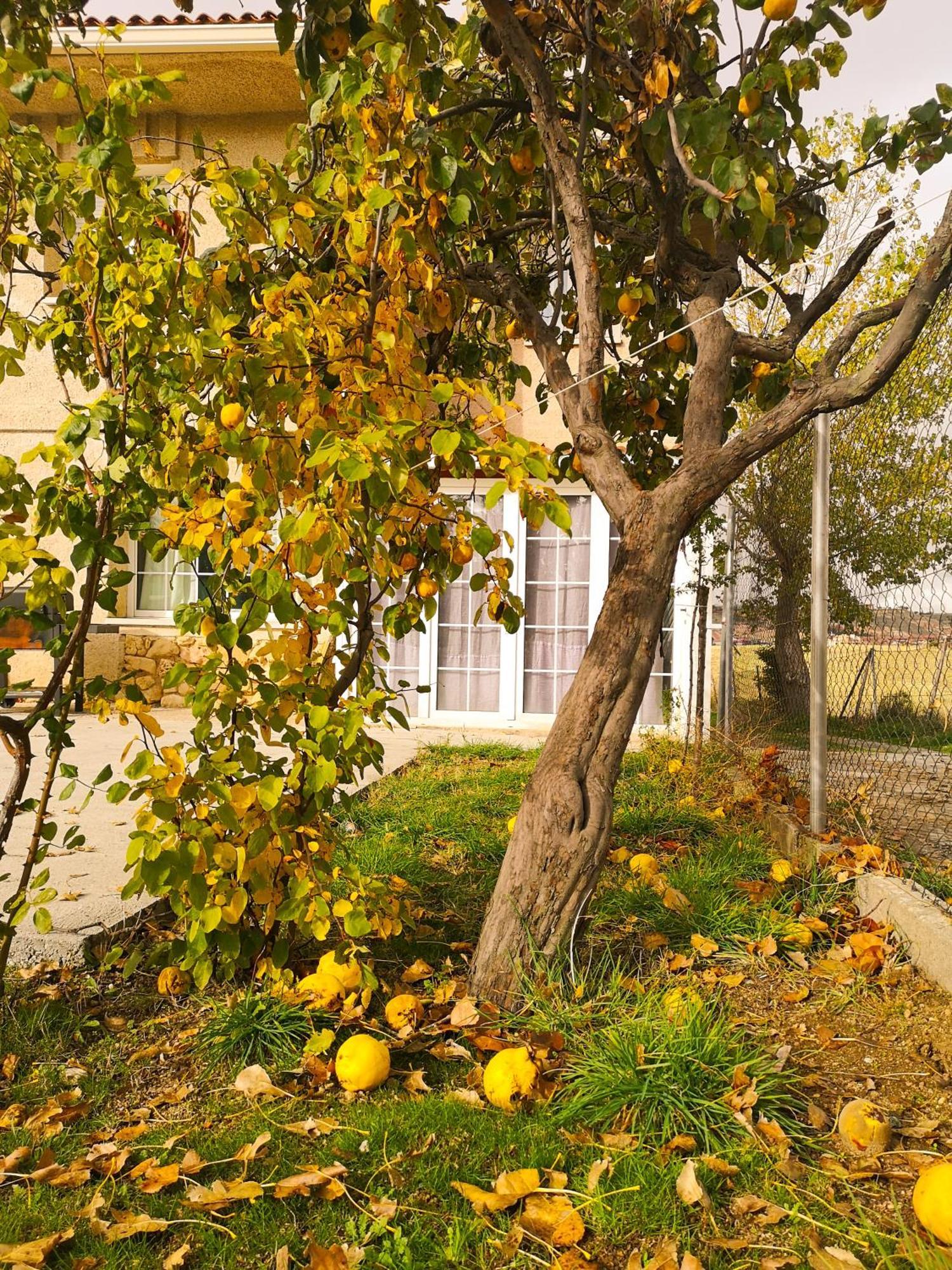 Agradable Casa Con Jardin: Casasola Villa San Cristóbal de Segovia Kültér fotó